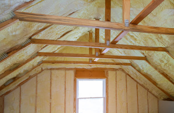 Best Geographic-Specific Insulation Services in Waynesboro, GA